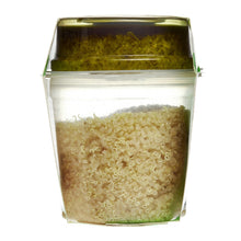 Load image into Gallery viewer, Basil Pesto Quinoa Quick Cup - 6 Pack
